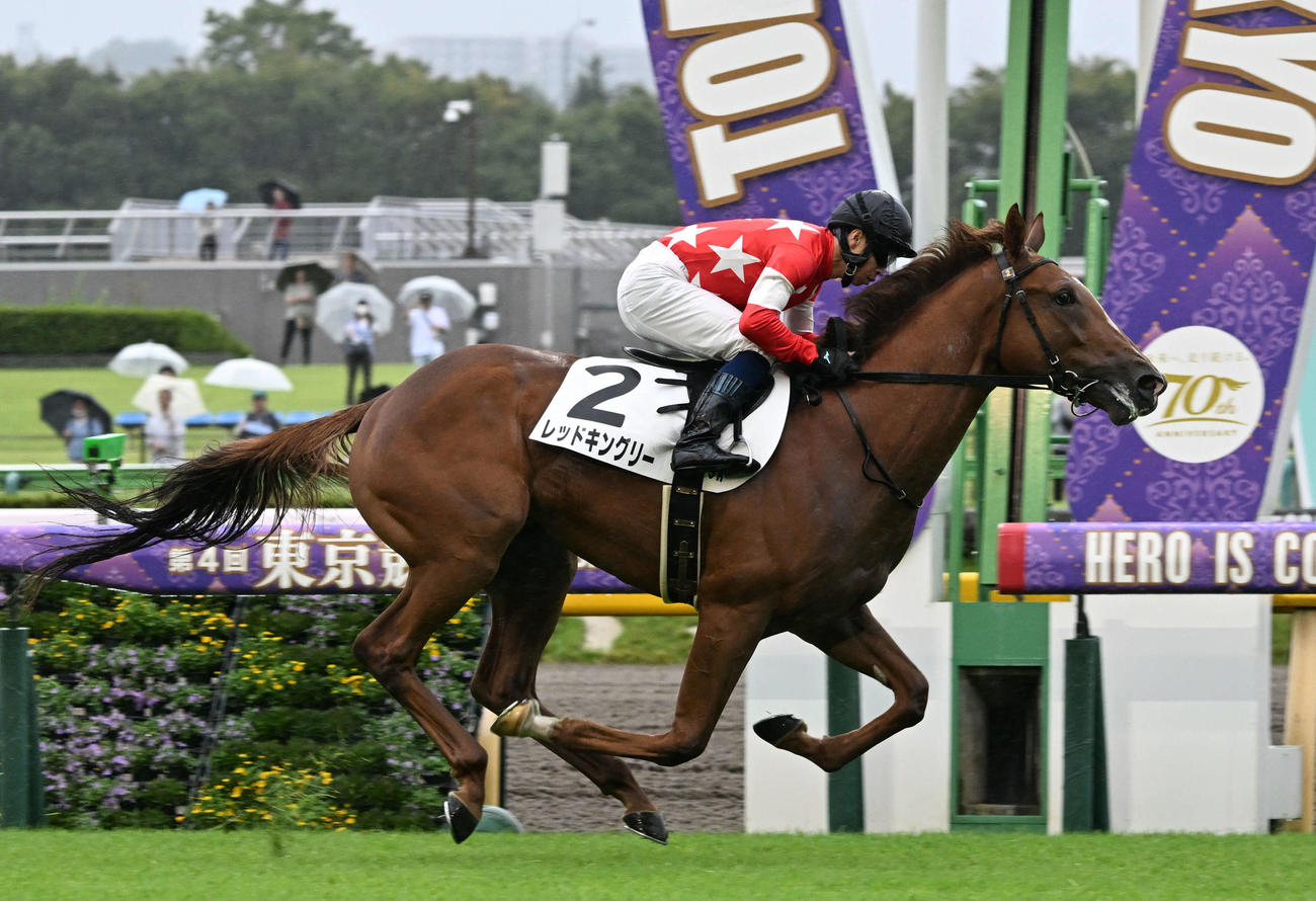 新馬戦を制したレッドキングリーと北村宏司騎手（撮影・千葉一成）