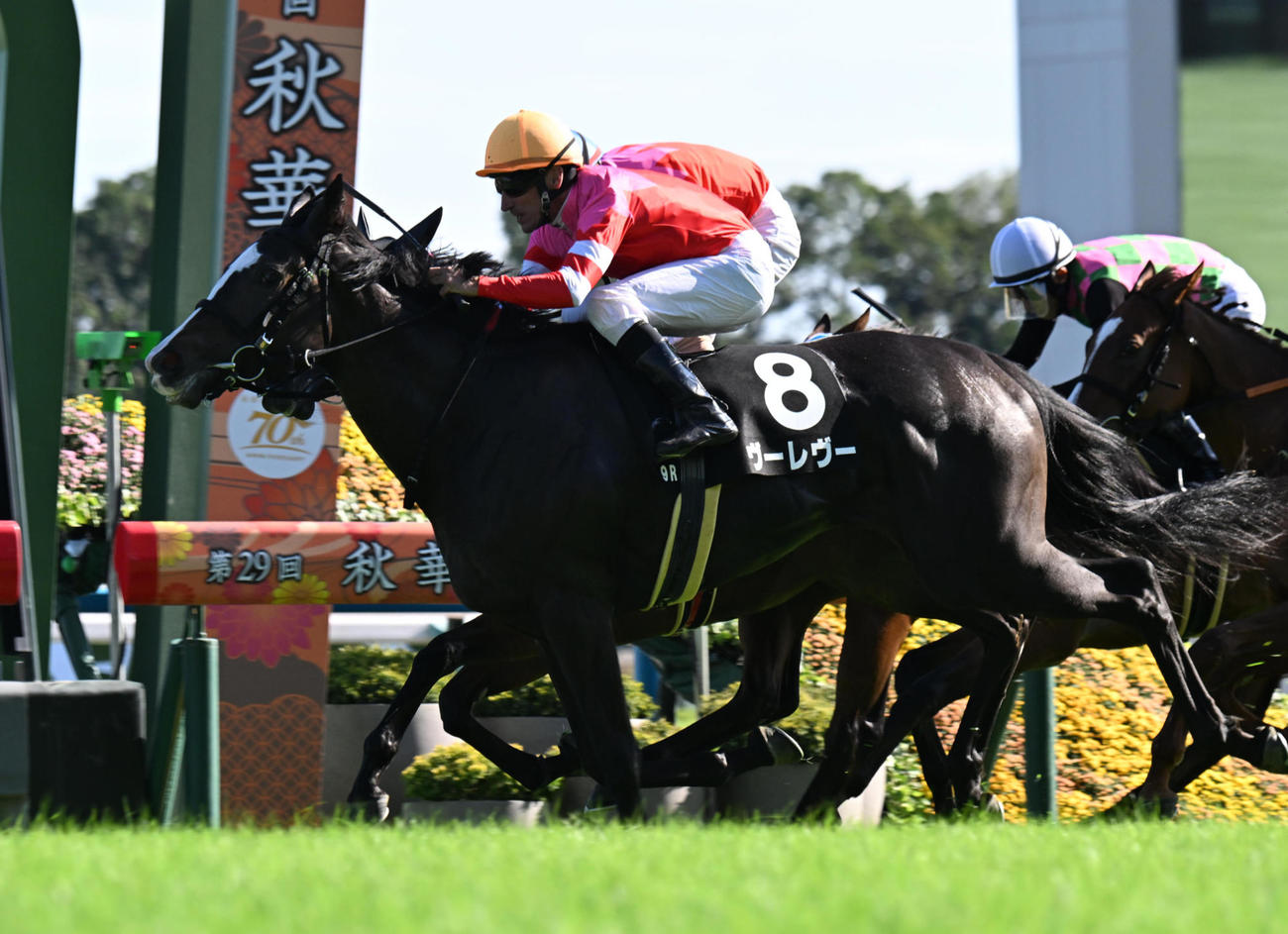 ゴール前の接戦を制しりんどう賞に勝利したヴーレヴー（撮影・和賀正仁）
