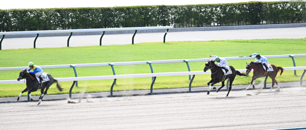 2着以下に大差をつけ新馬戦に勝利するドラゴンウェルズ（撮影・和賀正仁）