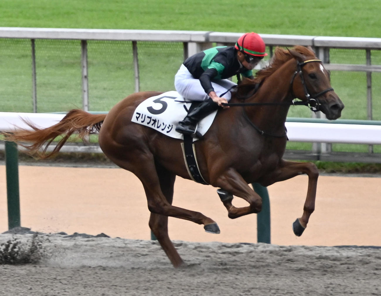 東京3R新馬戦を制したマリブオレンジと岩田望騎手（撮影・千葉一成）