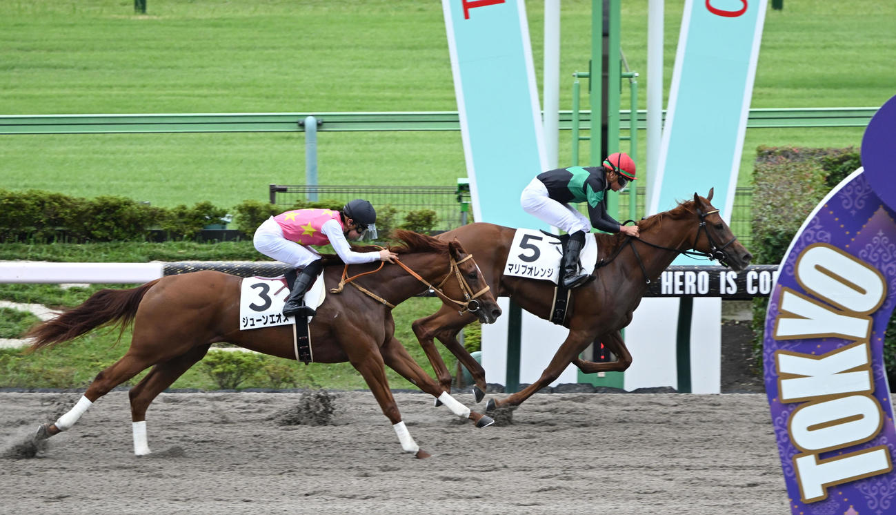 東京3R新馬戦を制したマリブオレンジ、2着ジューンエオス（撮影・千葉一成）