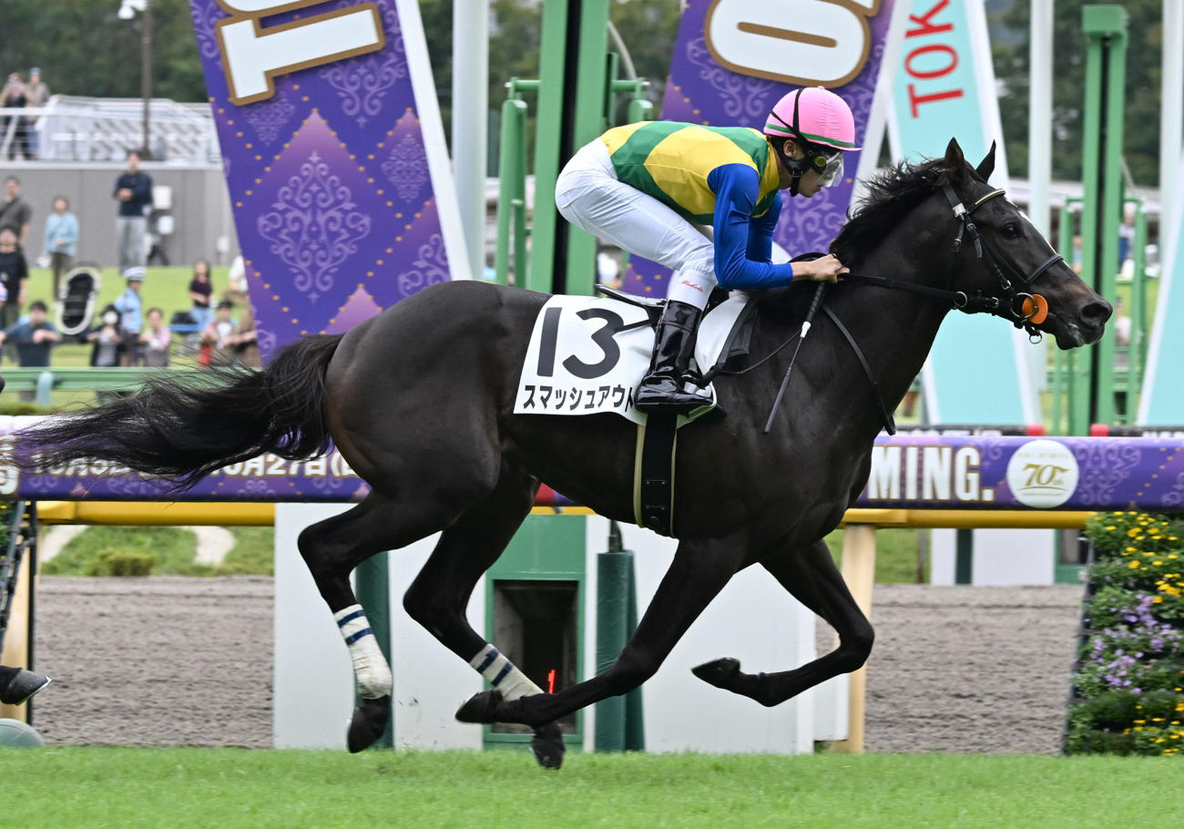 東京4R、2歳新馬戦を制したスマッシュアウトと杉原騎手（撮影・千葉一成）