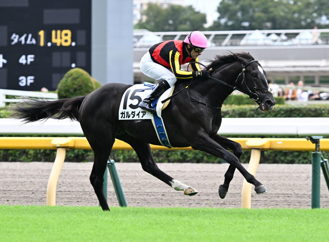 東京5R、2歳新馬戦を制したガルダイアとルメール騎手（撮影・千葉一成）