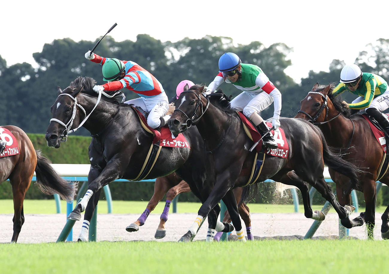 ディープボンド（左）との競り合いを制して京都大賞典を勝利したシュヴァリエローズ