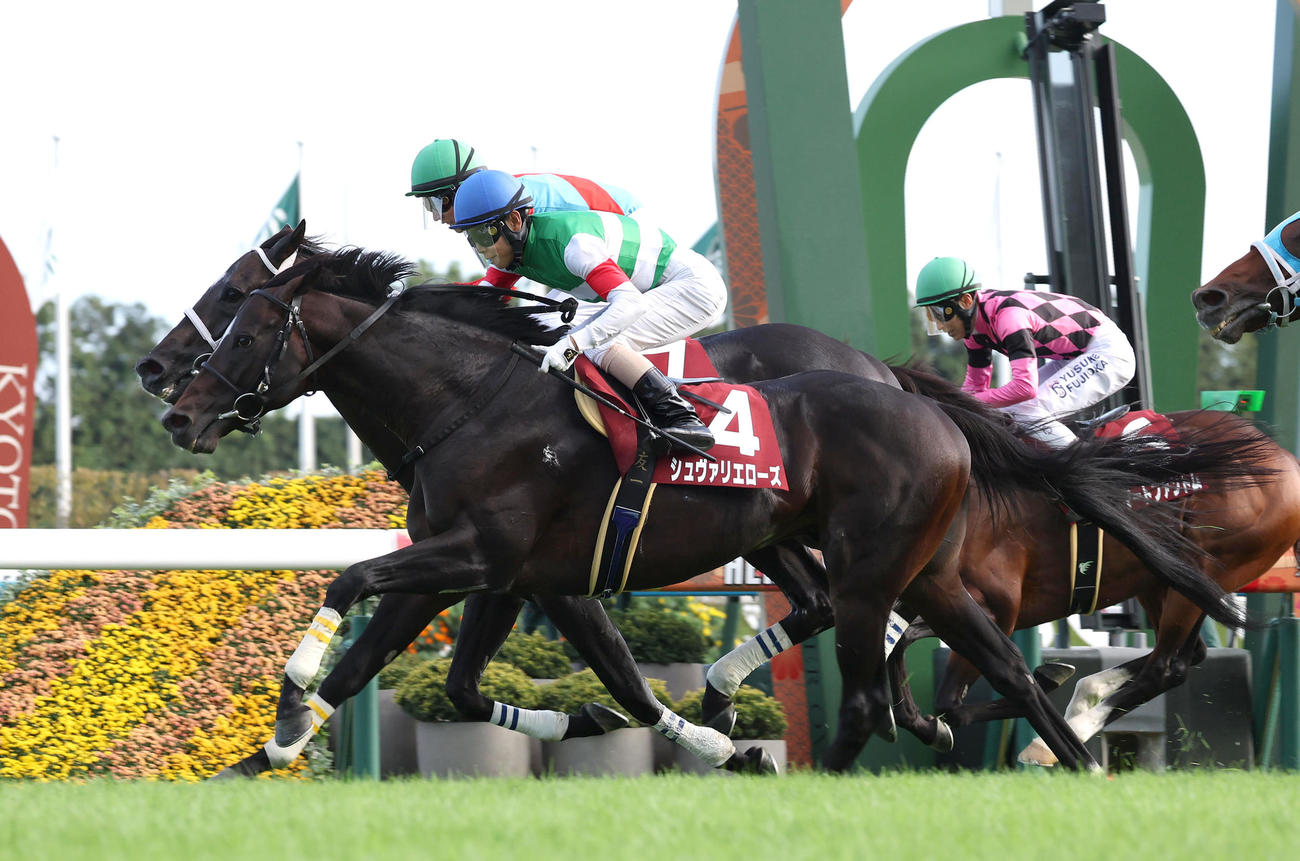 ディープボンド（左）との競り合いを制して京都大賞典を勝利したシュヴァリエローズ