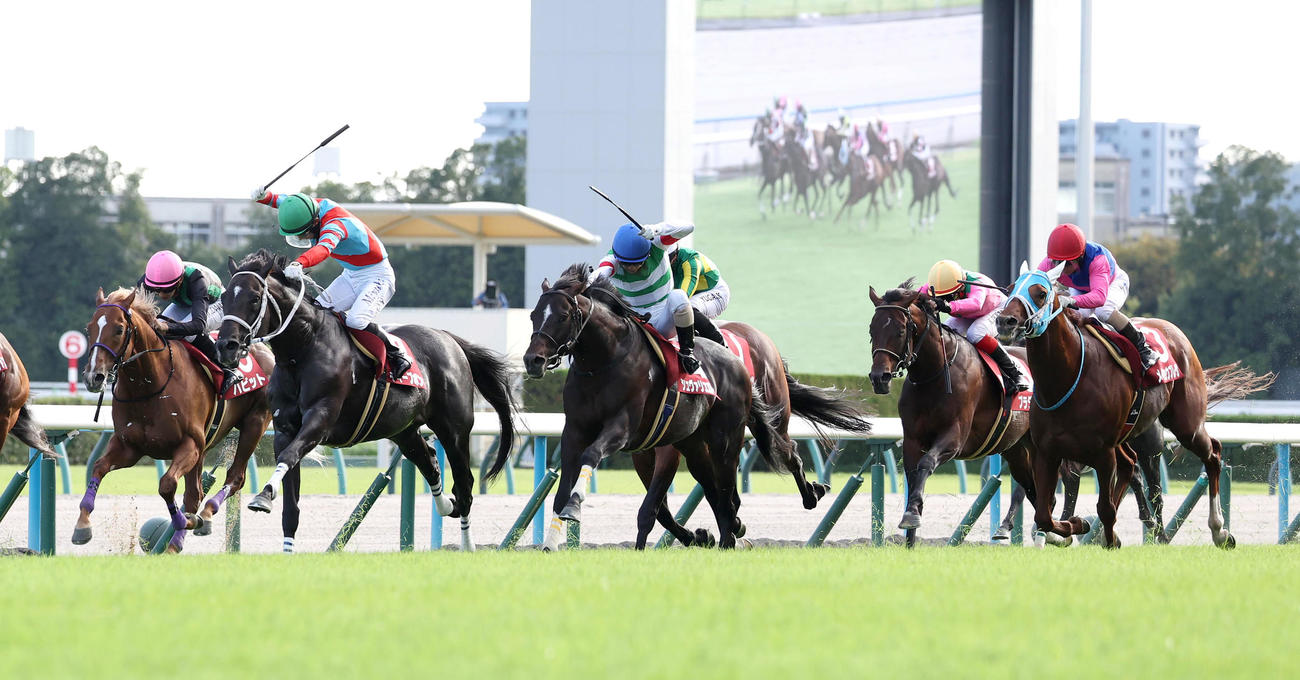 ディープボンド（左から2頭目）との競り合いを制して京都大賞典を勝利したシュヴァリエローズ