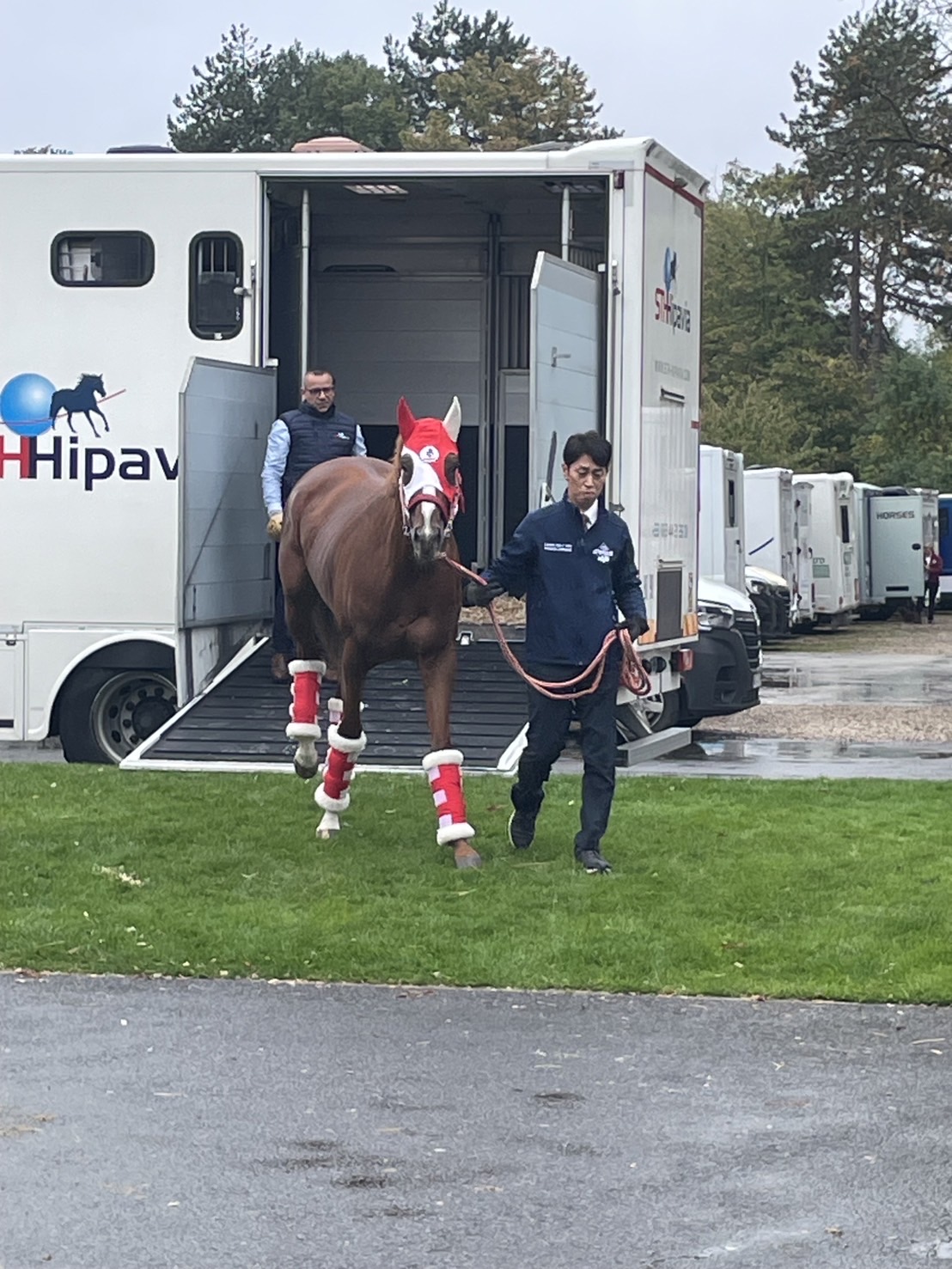 パリロンシャン競馬場に到着したシンエンペラー（JRA提供）