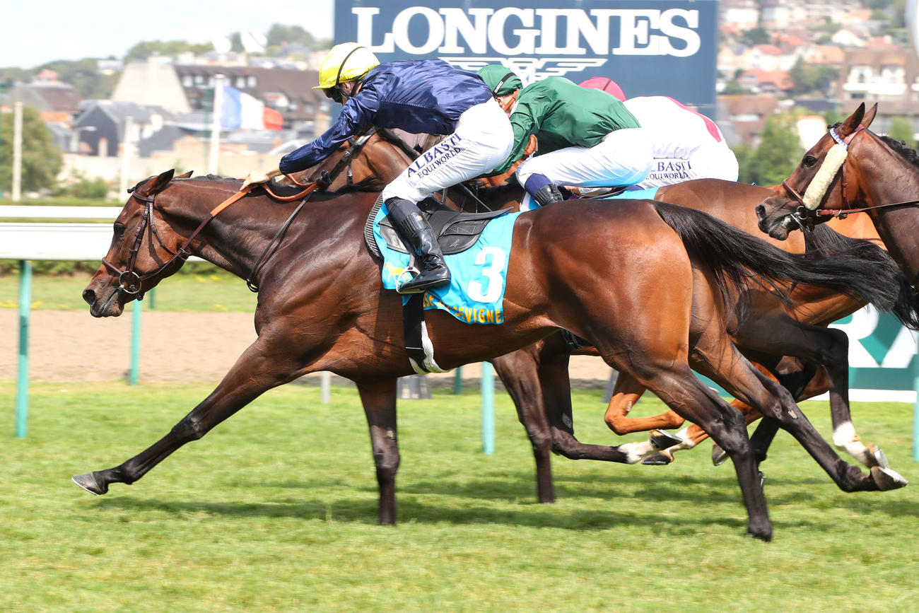 G1・3連勝中のマルキーズドゥセヴィニエ（C）scoopdyga