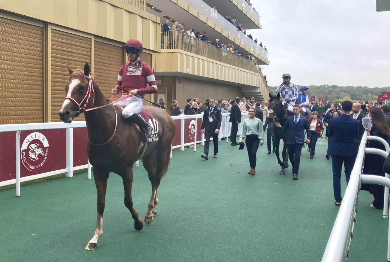 引き揚げるシンエンペラーと坂井騎手（手前）。奥はアルリファーと武豊騎手（撮影・太田尚樹）