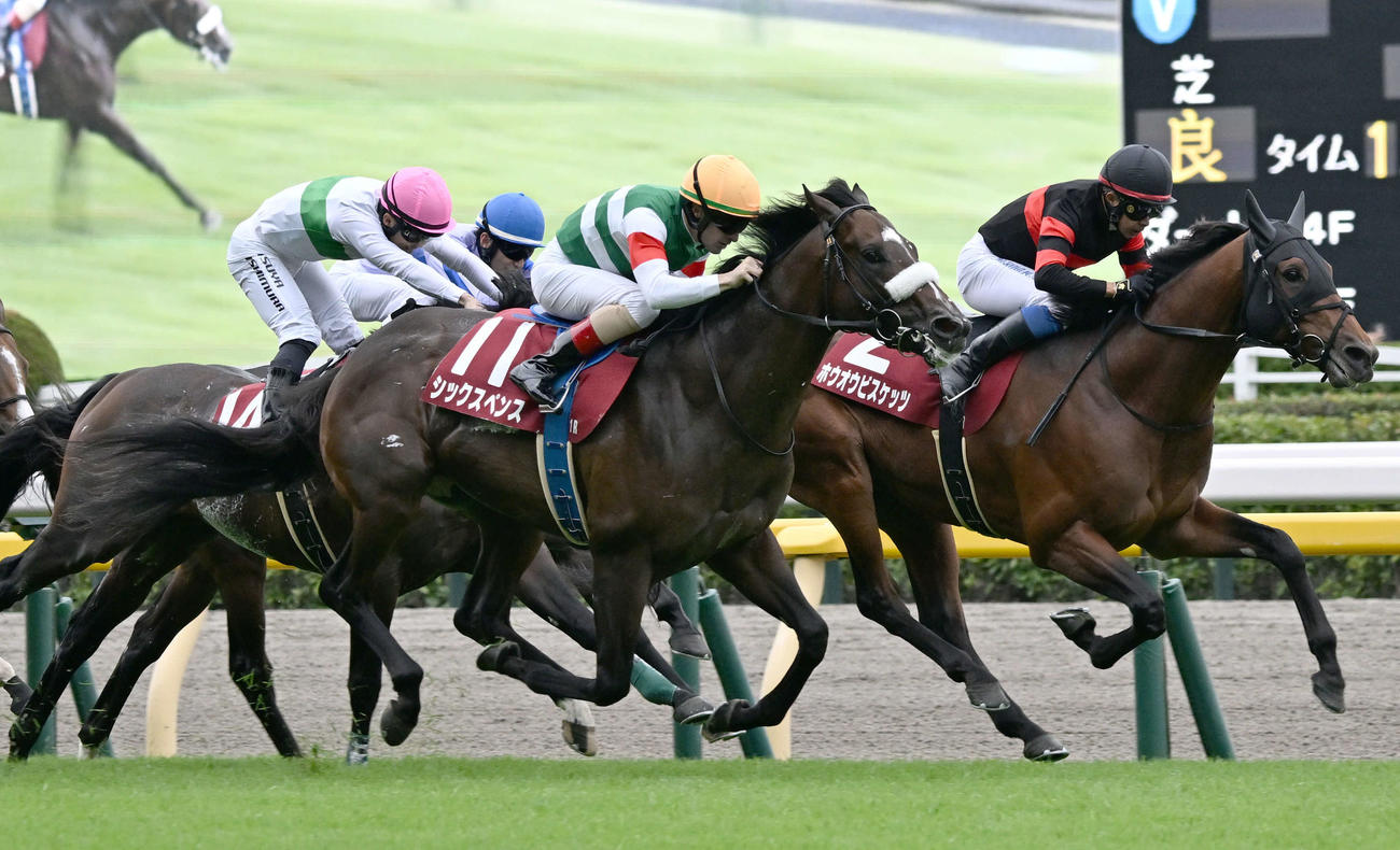 毎日王冠を制したシックスペンスとルメール騎手（中央）（撮影・千葉一成）