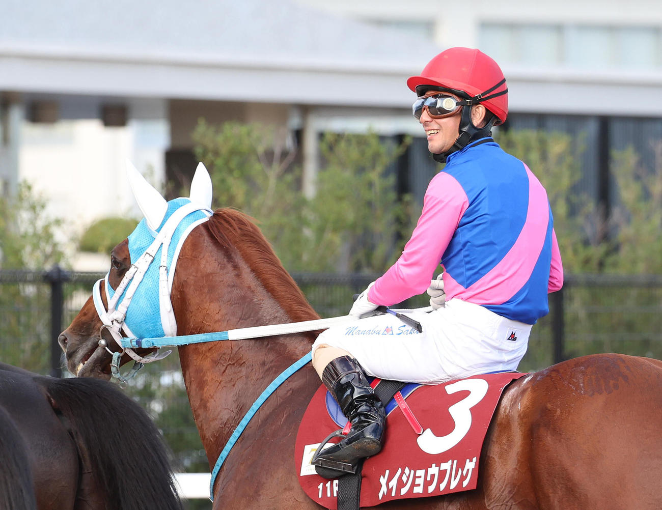 京都11R京都大賞典、3着に敗れたメイショウブレゲ（撮影・白石智彦）
