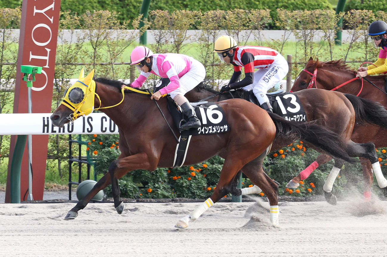 京都10R、直線追い込んで藤森Sを制したクインズメリッサ（撮影・白石智彦）
