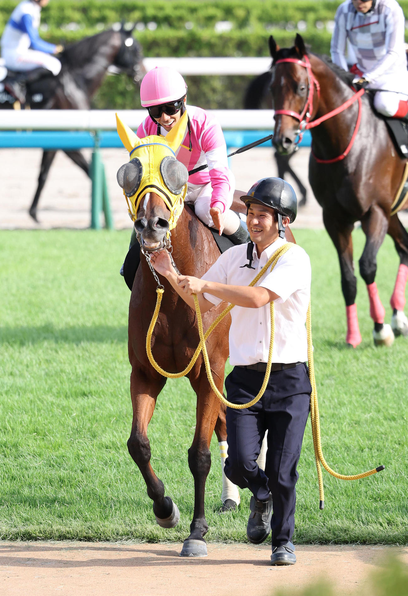 京都10R、藤森Sを制したクインズメリッサ（撮影・白石智彦）
