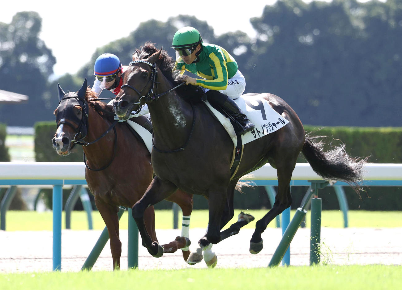 京都5R、直線抜け出して新馬戦を制したサトノブリジャール（右）（撮影・白石智彦）