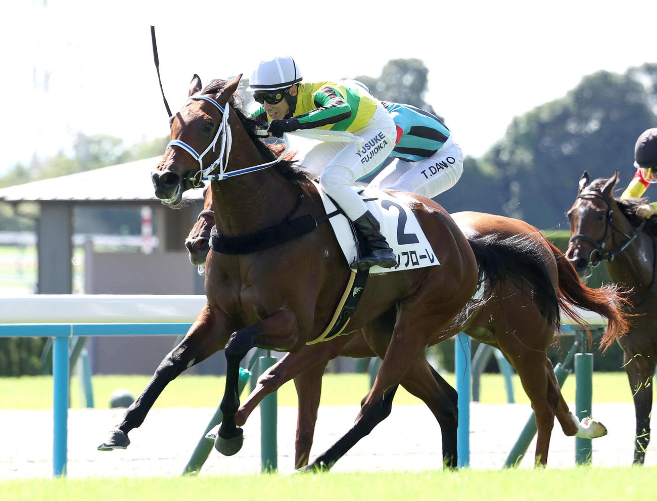 直線抜け出して新馬戦を制したインフローレ（撮影・白石智彦）