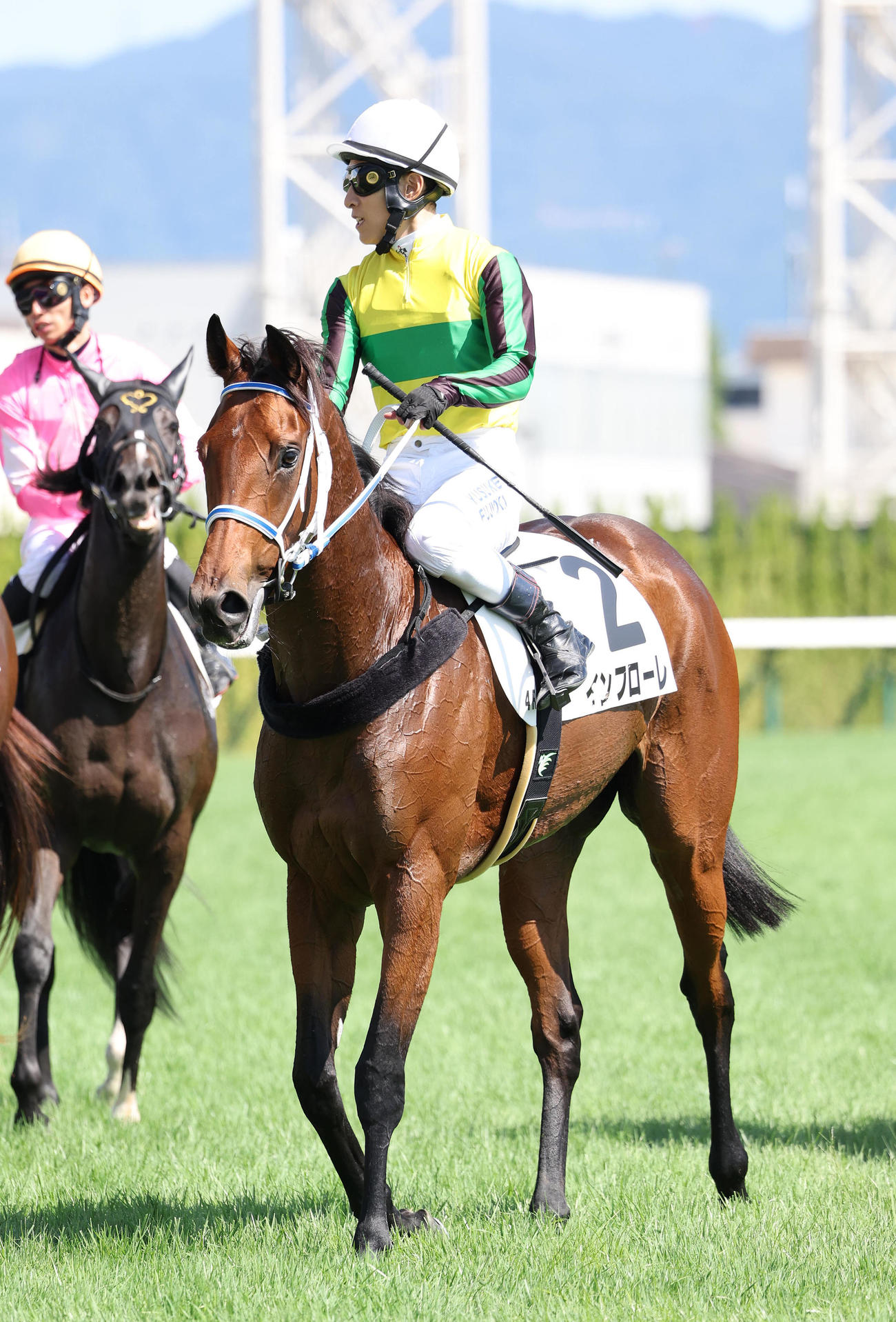 京都4R、新馬戦を制したインフローレ（撮影・白石智彦）