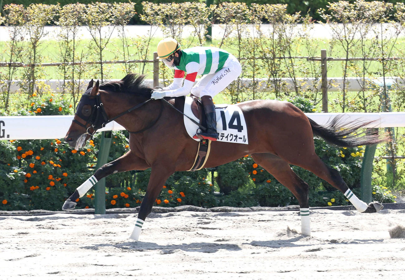 直線抜け出して新馬戦を制したステイクオール（撮影・白石智彦）