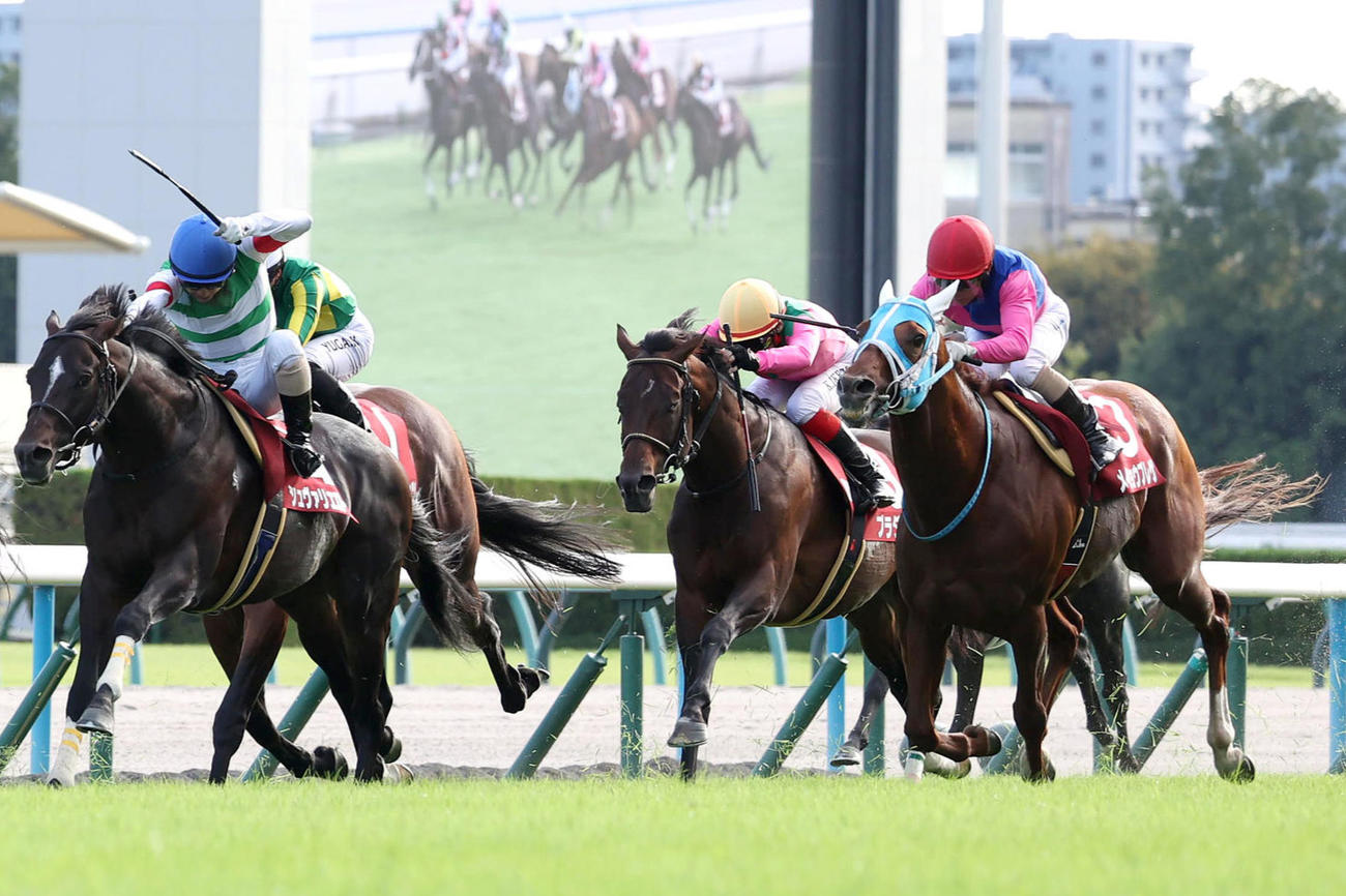 6日、京都大賞典3着のメイショウブレゲ（右）。左は勝ったシュヴァリエローズ