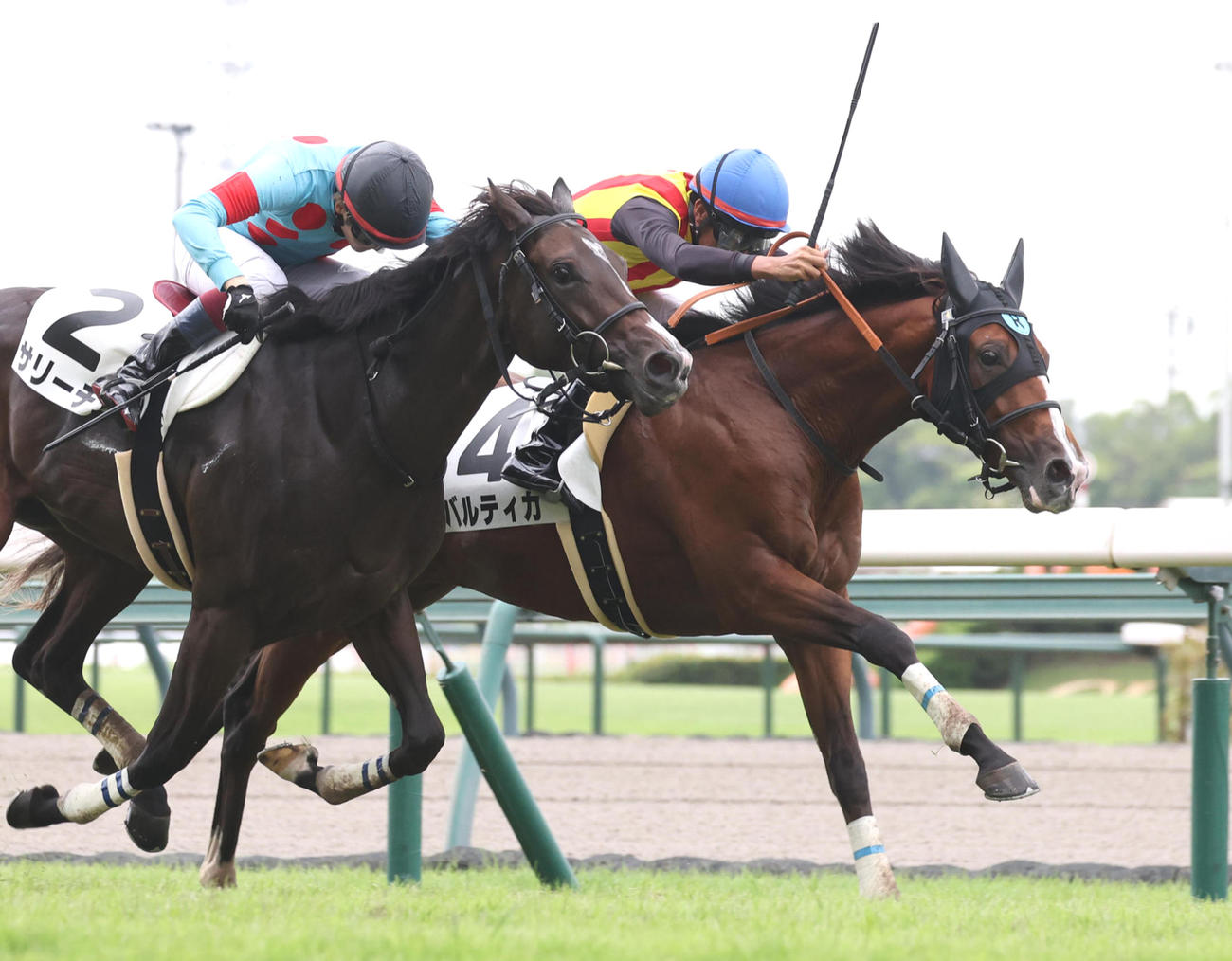 9月29日、中京2Rの2歳未勝利を勝ち上がったバルティカ（右）