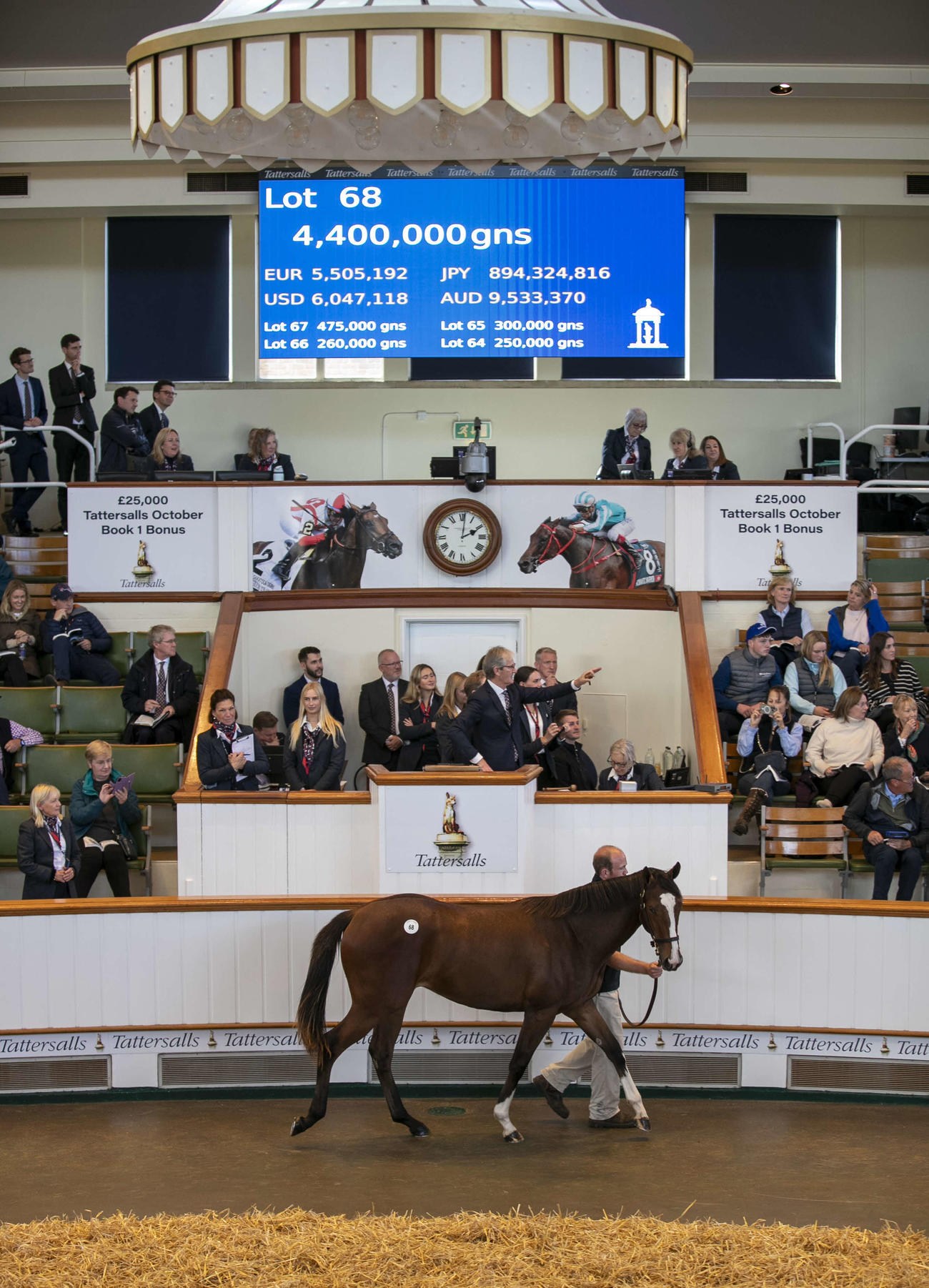 440万ギニーで落札された上場番号68番のフランケル産駒（C）Tattersalls