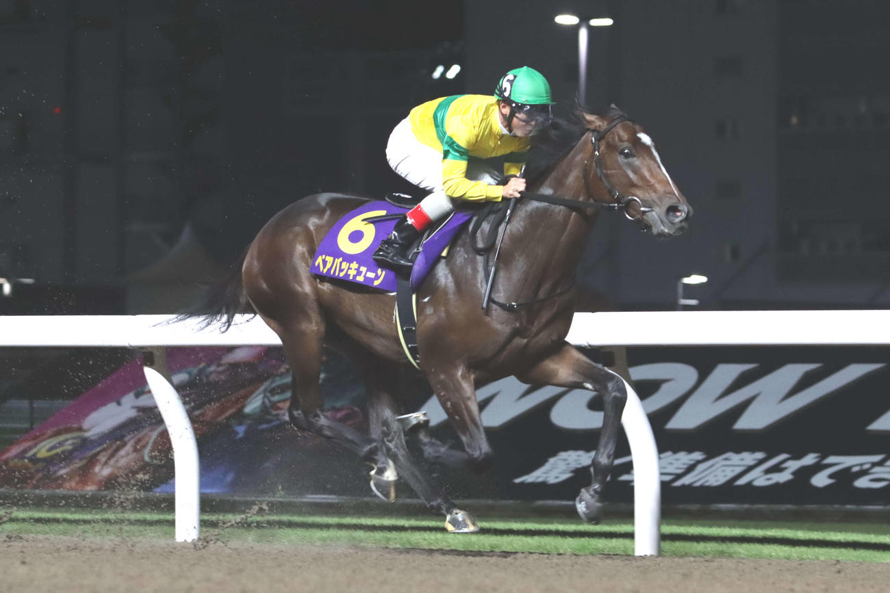 2着に大差の逃げ切りで鎌倉記念を制したベアバッキューンと町田直希騎手