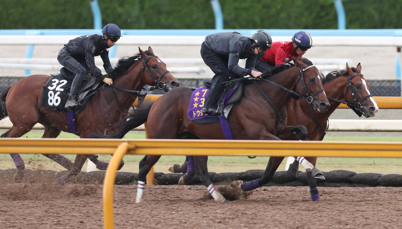 CWコースにて3頭併せで追い切るドウデュース（手前）。奥はメリオーレム