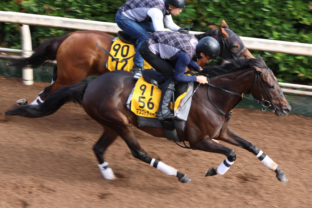 坂路で併せ馬に先着するマスクトディーヴァ（右）