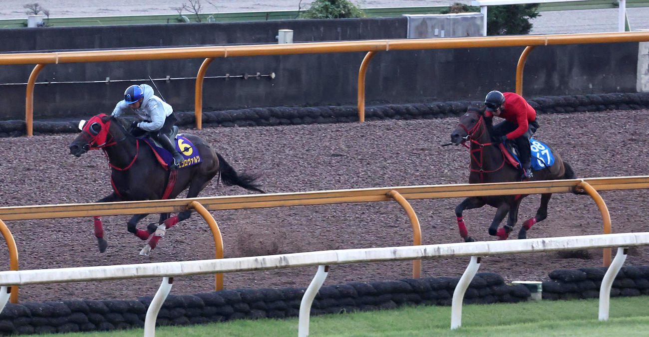 岩田康騎手を背にCウッドを併せ馬で追い切るエコロヴァルツ（左）（撮影・白石智彦）