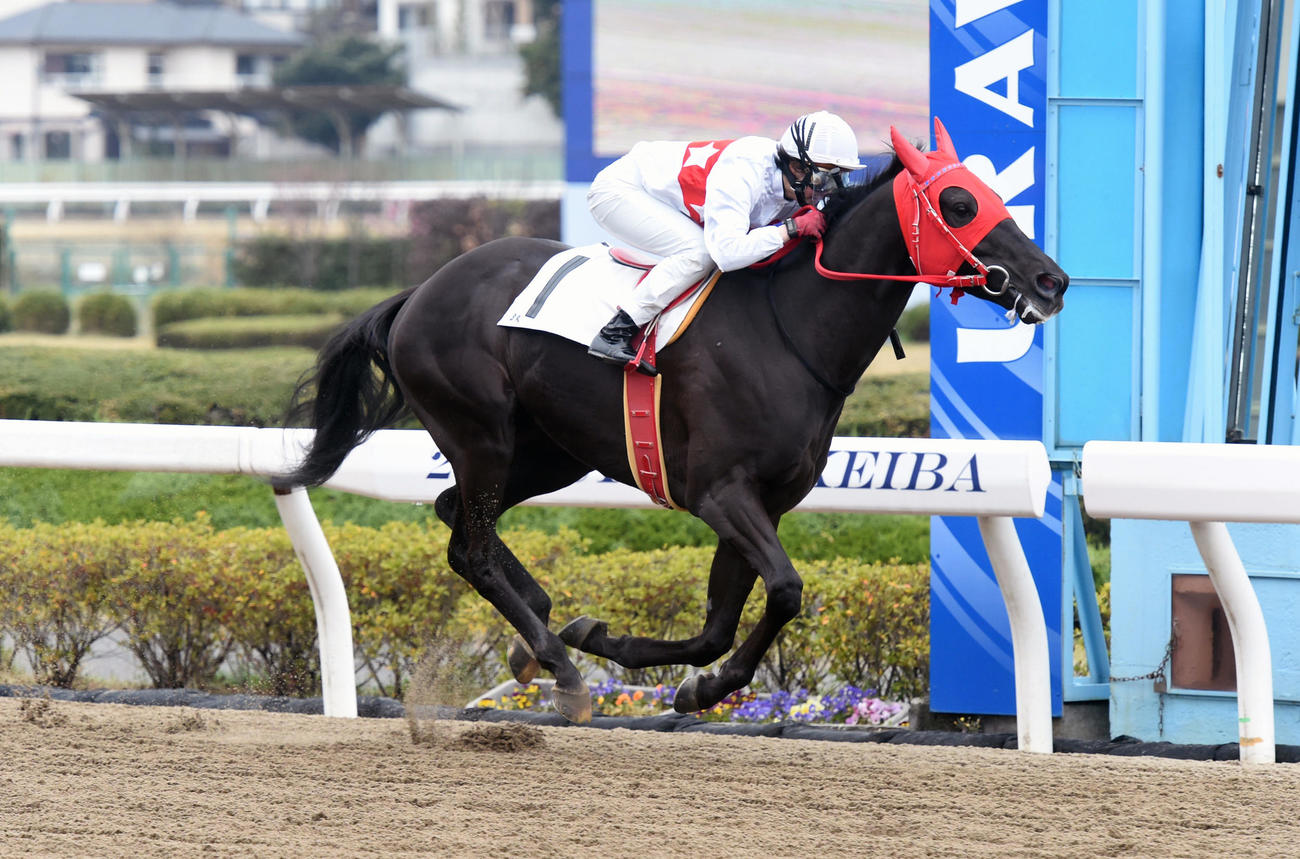 浦和3R　浦和3Rでアスキーコードが逃げ切り、藤田菜七子騎手は初勝利を飾る＝2016年3月24日　ゴール前　レース　藤田菜七子騎手デビュー初勝利