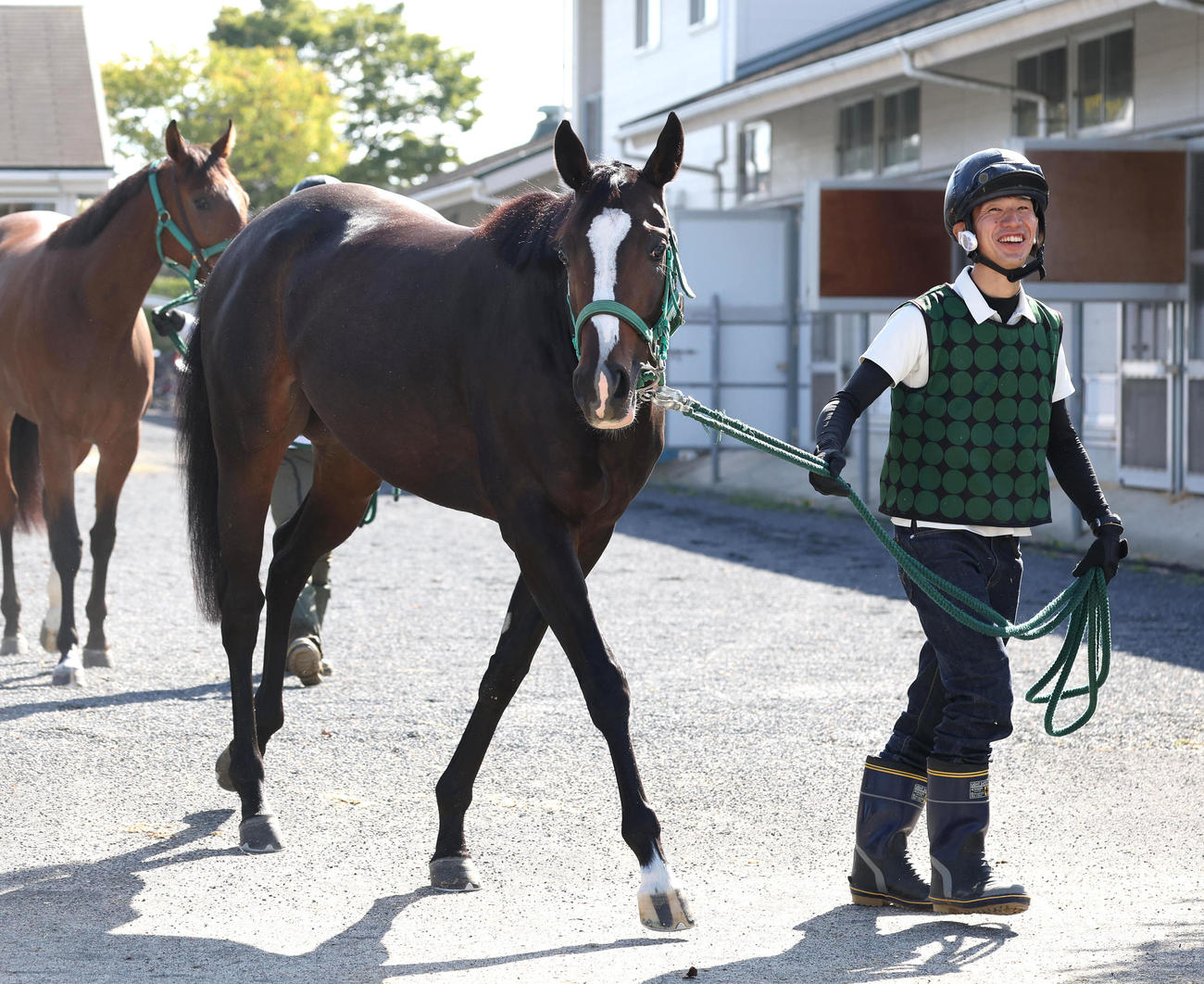 厩舎から運動に出るランスオブクイーン（撮影・白石智彦）