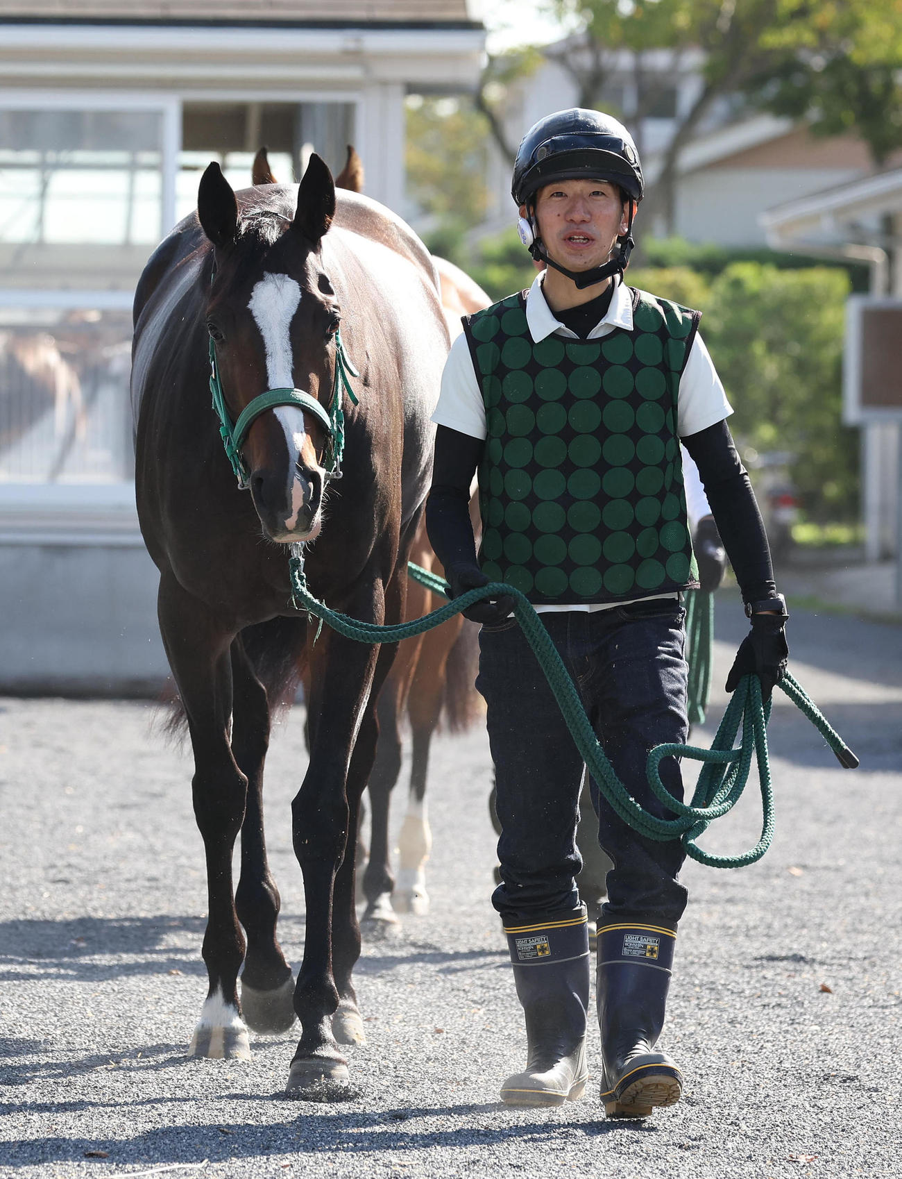 厩舎から運動に出るランスオブクイーン（撮影・白石智彦）