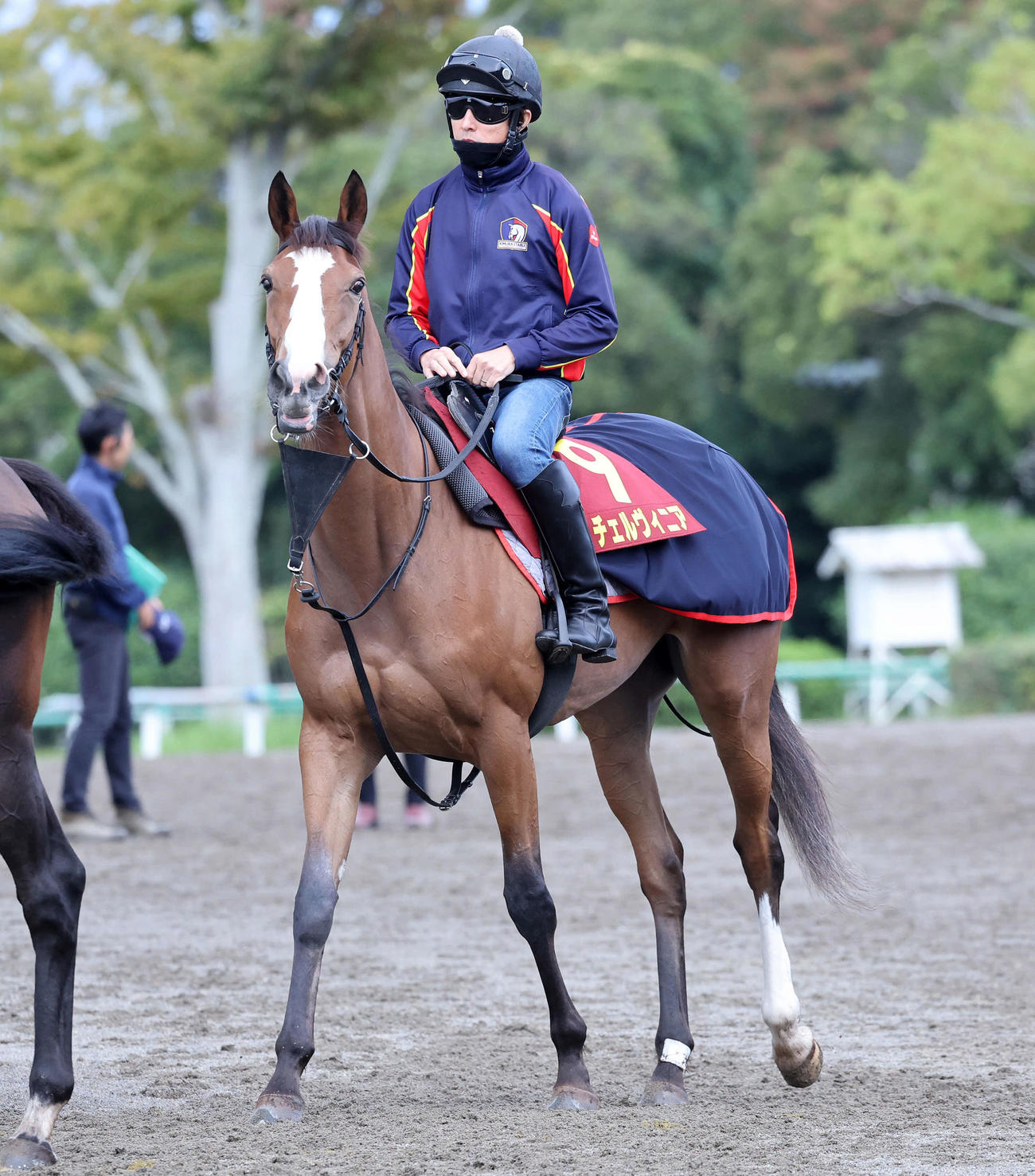 乗り運動するチェルヴィニア（2024年10月10日撮影）