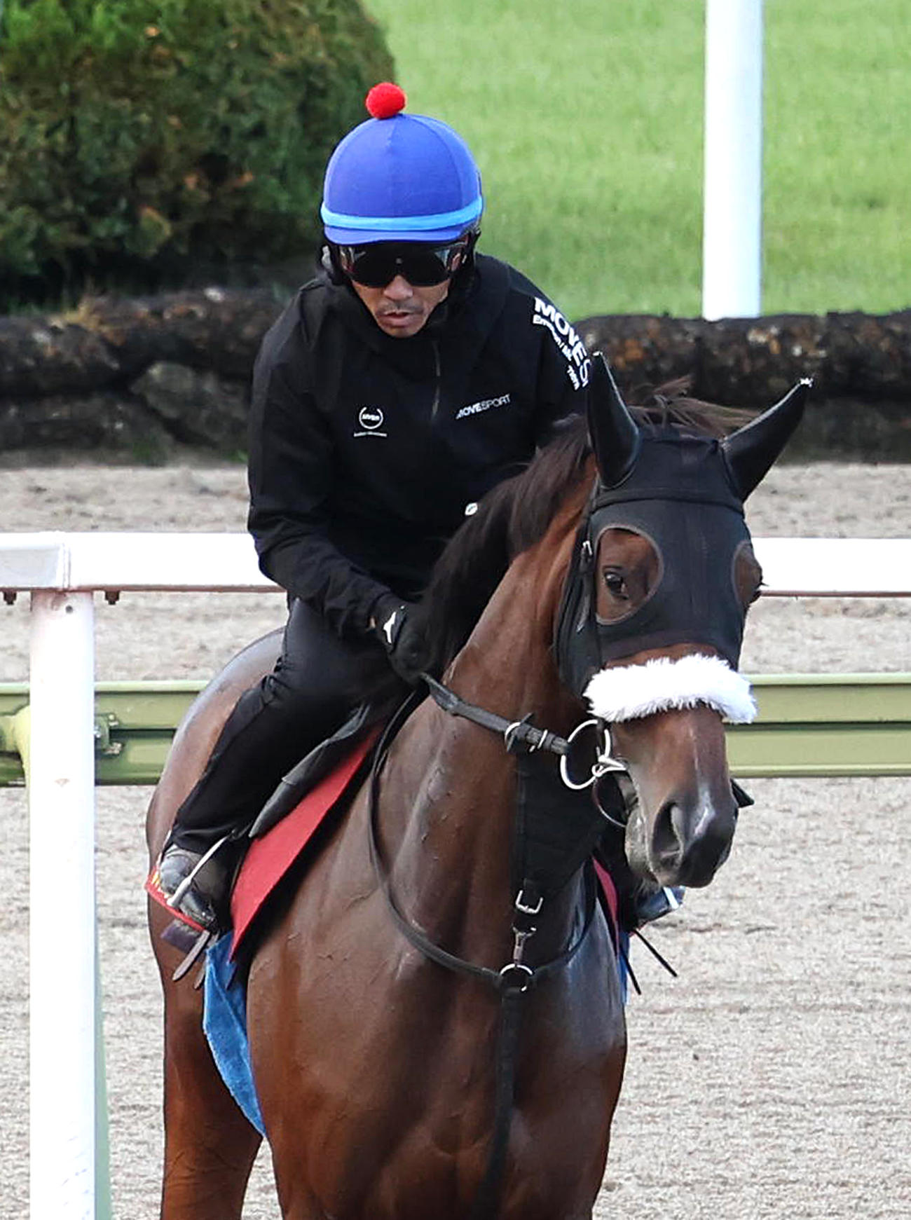 戸崎圭太騎手を背に馬場入するステレンボッシュ（撮影・白石智彦）
