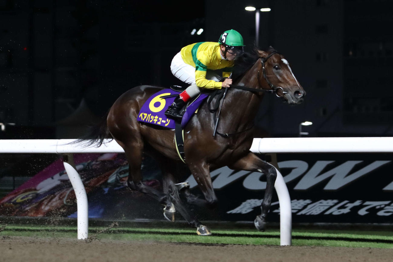 10月9日、2着に大差の逃げ切りで鎌倉記念を制したベアバッキューンと町田直希騎手