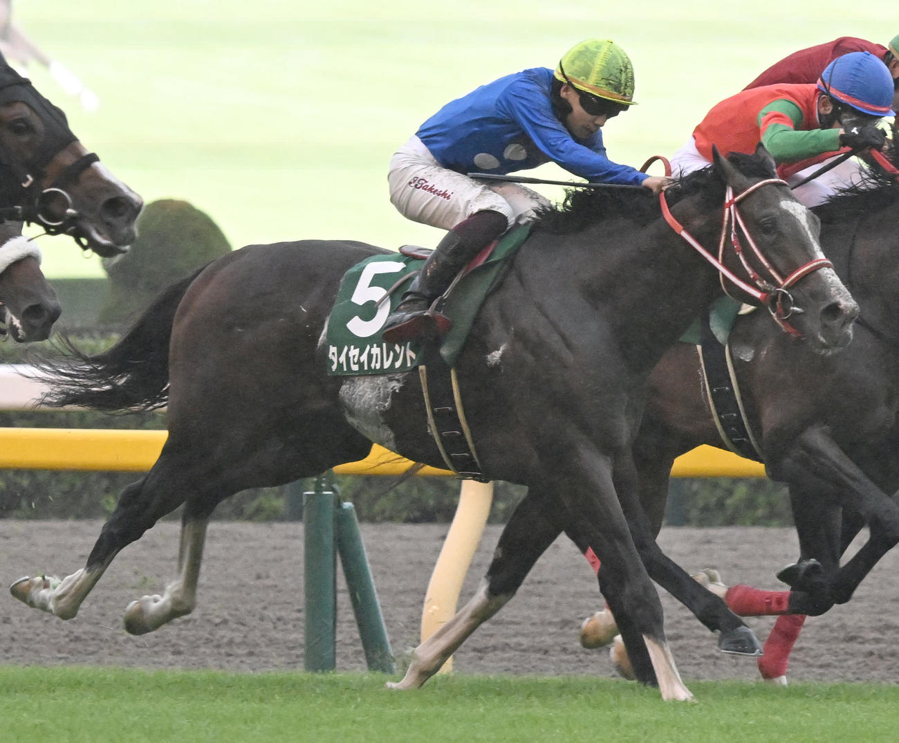 サウジアラビアロイヤルCに出走したタイセイカレントと横山武騎手（2024年10月5日撮影）