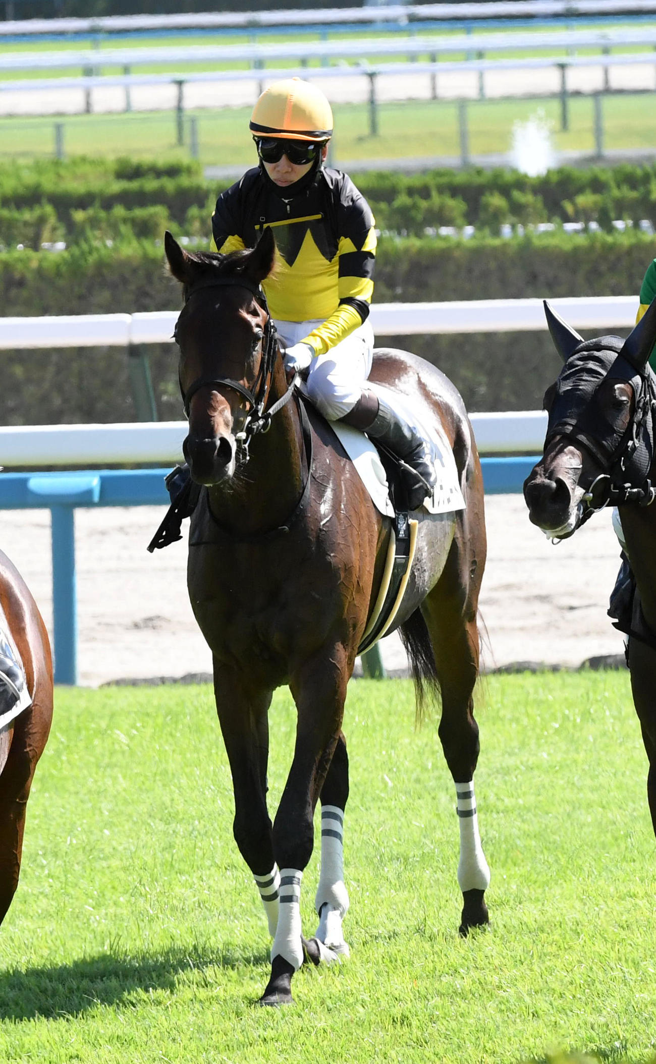 4R、新馬戦を制したドンインザムード（撮影・前岡正明）