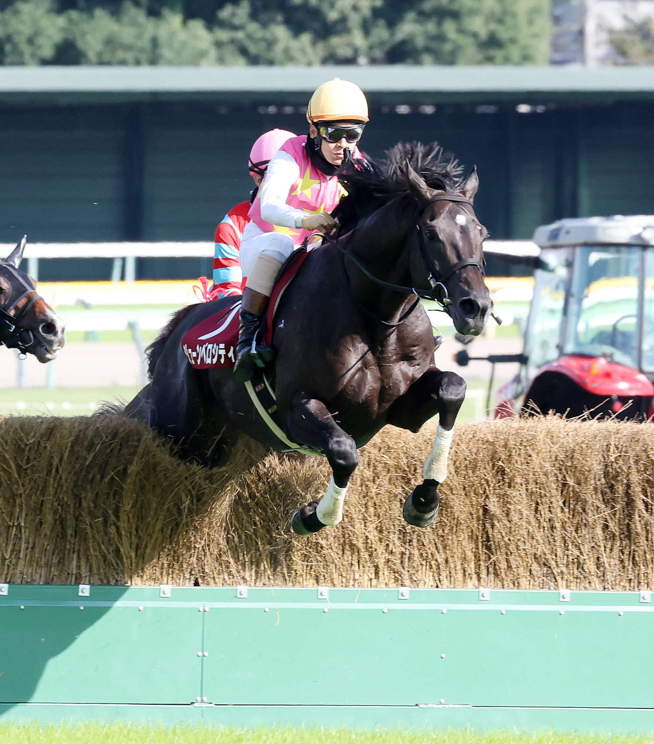 東京ハイジャンプを制したジューンベロシティと高田潤騎手（撮影・鈴木正人）