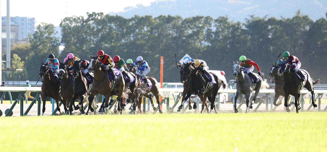 京都11R、直線抜け出して秋華賞を制したチェルヴィニア（左から4頭目）。右端は2着のボンドガール、左から頭目は3着のステレンボッシュ（撮影・白石智彦）