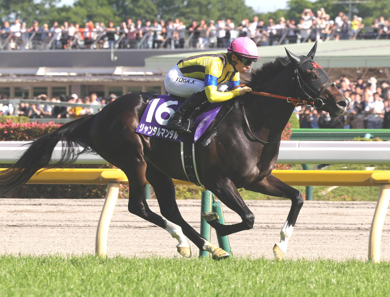 5月5日、NHKマイルCを制したジャンタルマンタルと川田騎手