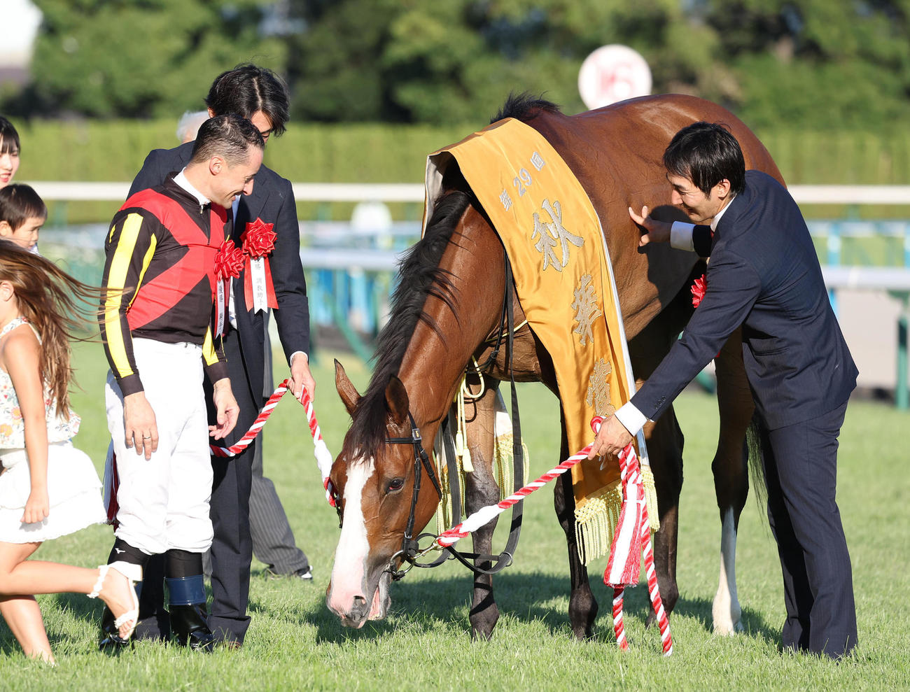 秋華賞の口取り後にコースの芝を食べるチェルヴィニア（撮影・白石智彦）