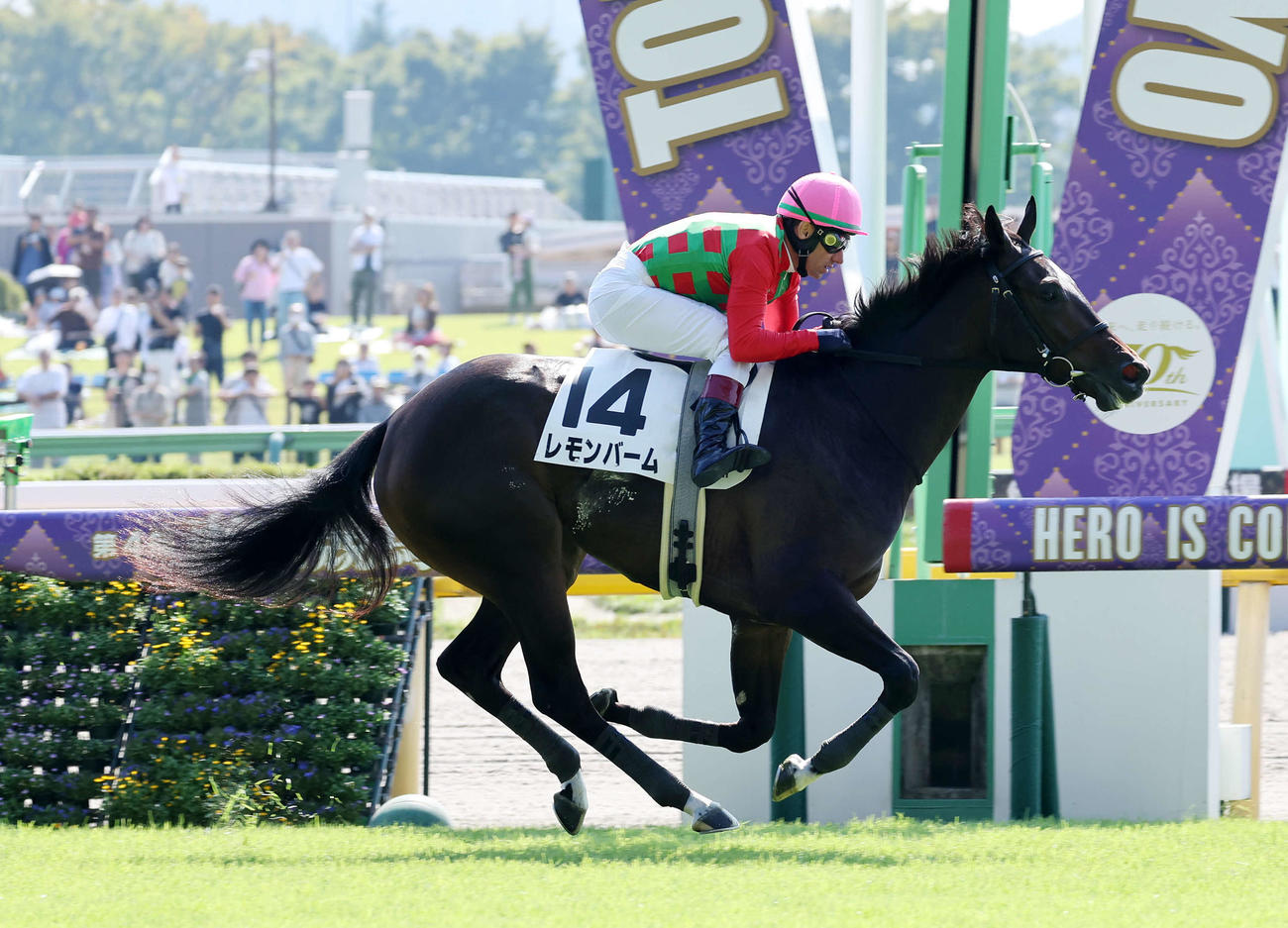 東京4R、新馬戦を制したレモンバームとデムーロ騎手（撮影・鈴木正人）