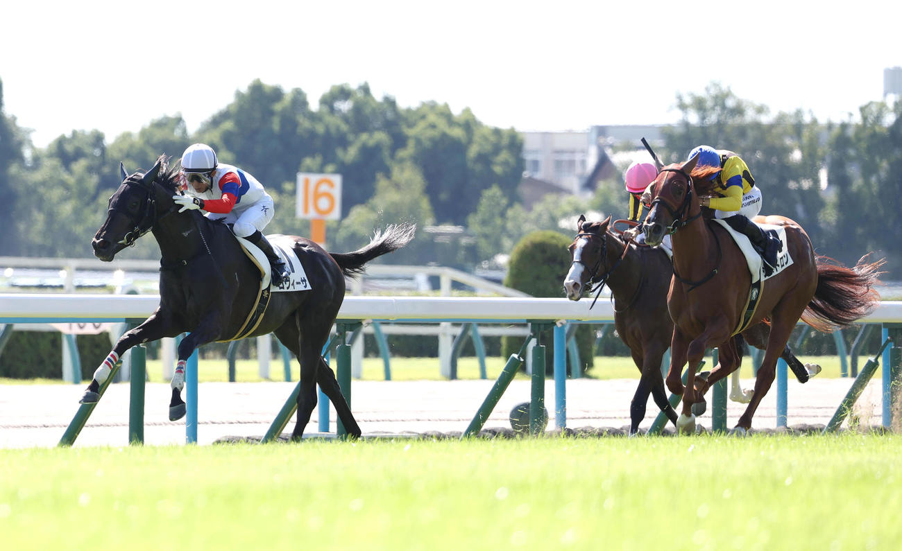 京都5R、直線抜け出して新馬戦を制したロヴィーサと幸騎手。右は2着のシストロン（撮影・白石智彦）