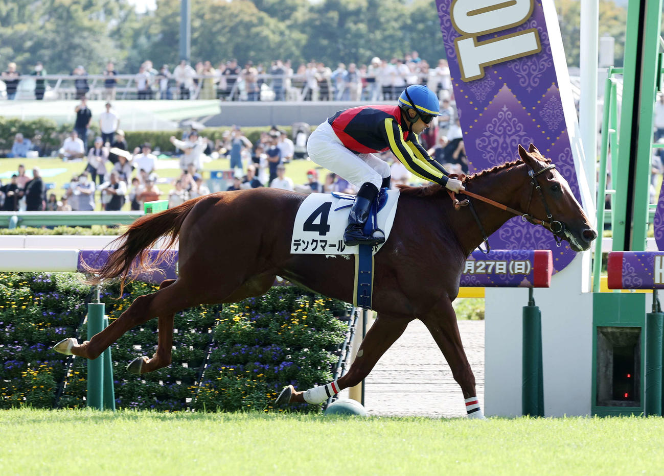 東京5R新馬戦を制したデンクマールとルメール騎手（撮影・鈴木正人）