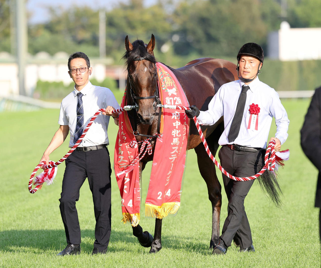 アイルランドトロフィー府中牝馬Sを制したブレイディヴェーグ（撮影・鈴木正人）