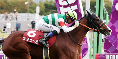 富士Sを制したナミュールとモレイラ騎手(撮影・鈴木正人)=2023年10月21日、東京競馬場