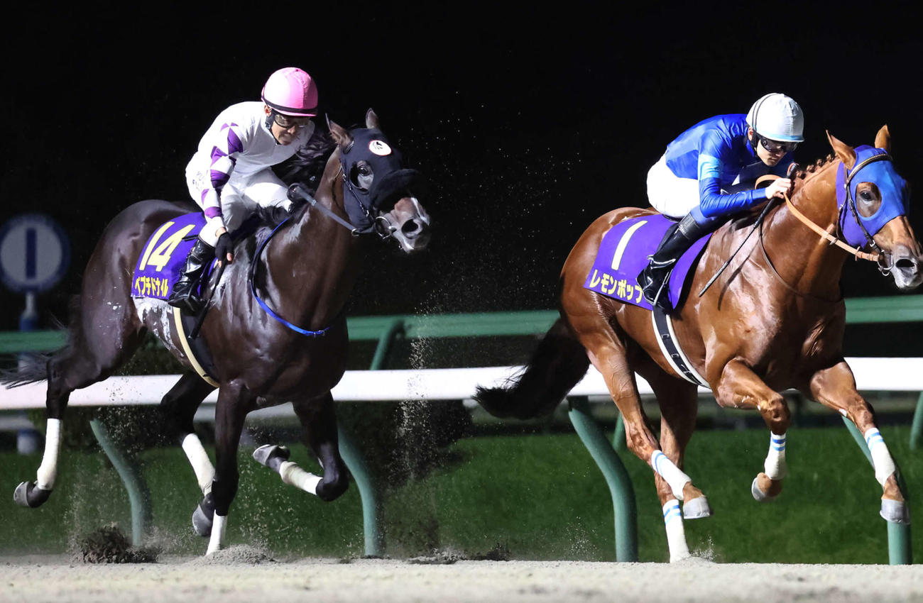 南部杯2着に敗れたペプチドナイル（左）。右は勝ったレモンポップ（撮影・丹羽敏通）