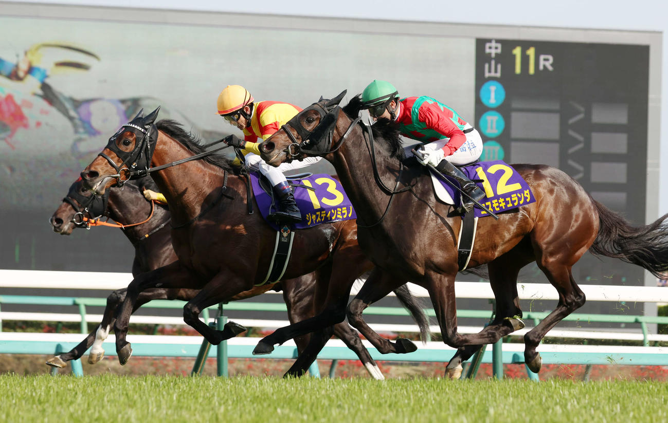 24年4月14日、皐月賞を制したジャスティンミラノ（中央）、2着コスモキュランダ（右）、3着ジャンタルマンタル