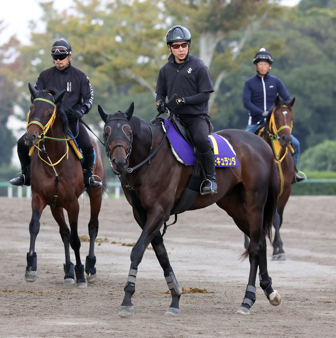 馬場へ向かうコスモキュランダ（撮影・丹羽敏通）