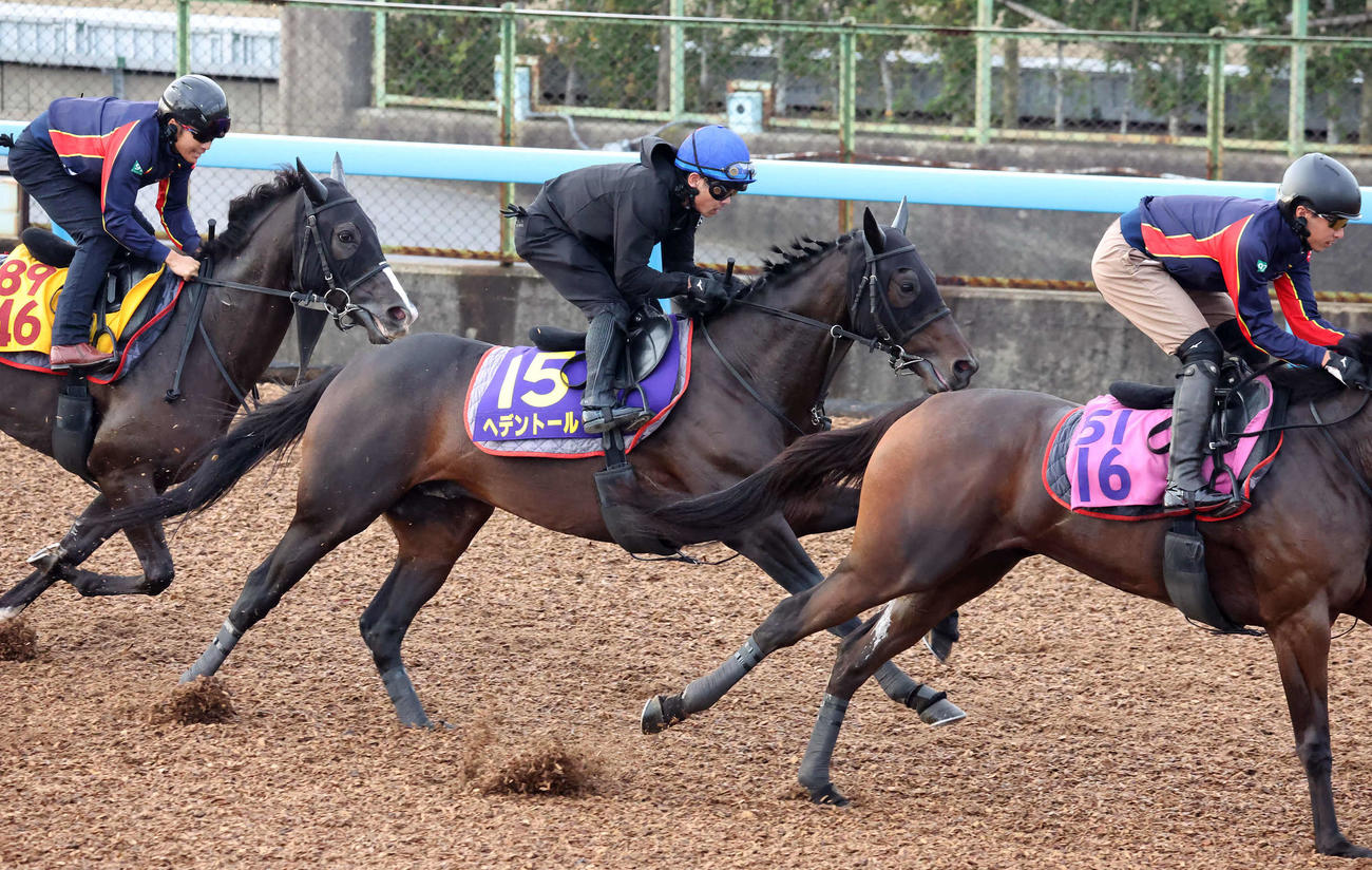 ヘデントール（中央）は戸崎騎手を背に美浦ウッドを3頭併せで追い切られた（撮影・丹羽敏通）