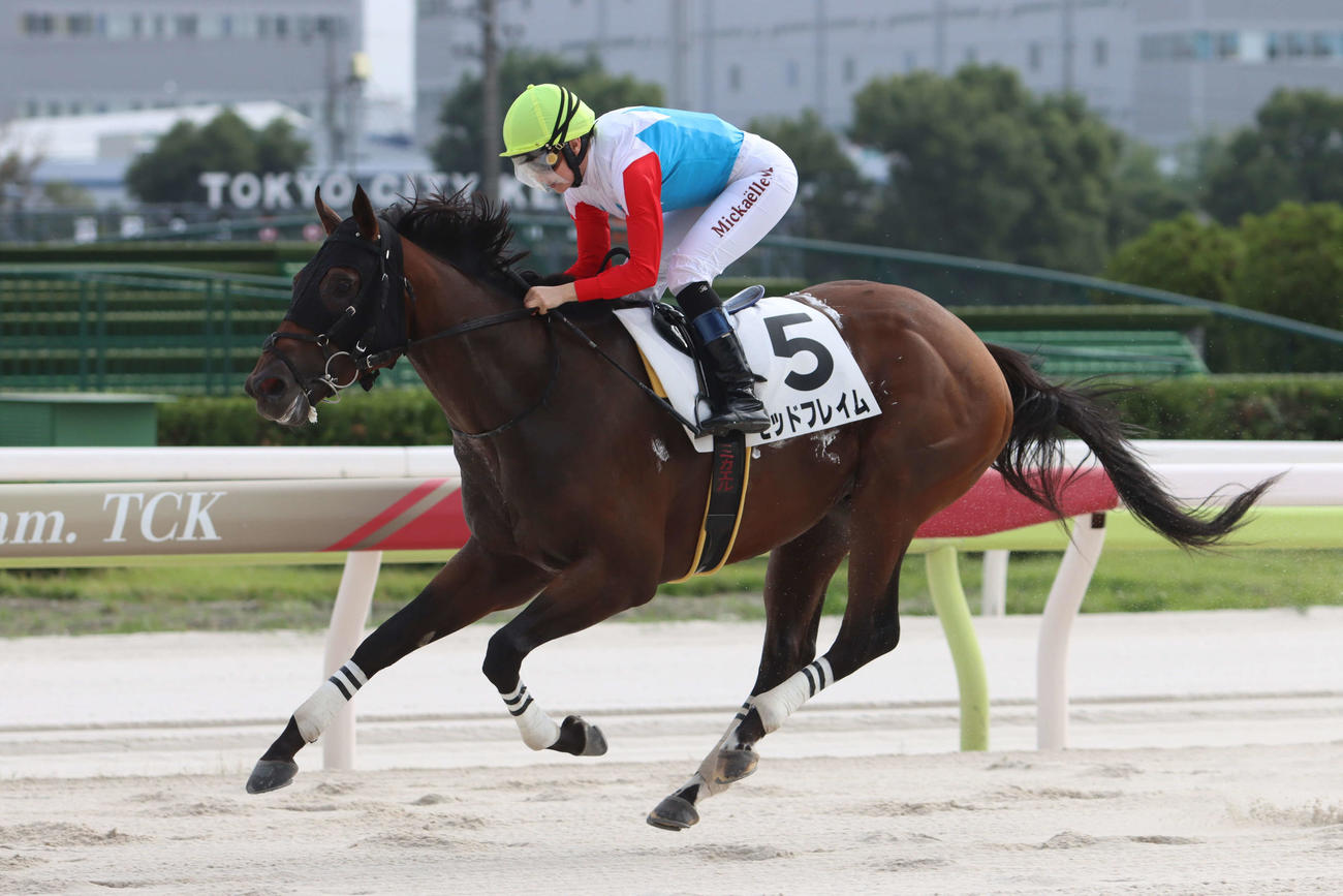 4コーナーで先頭に立ち勝利したモッドフレイムとミカエル・ミシェル騎手